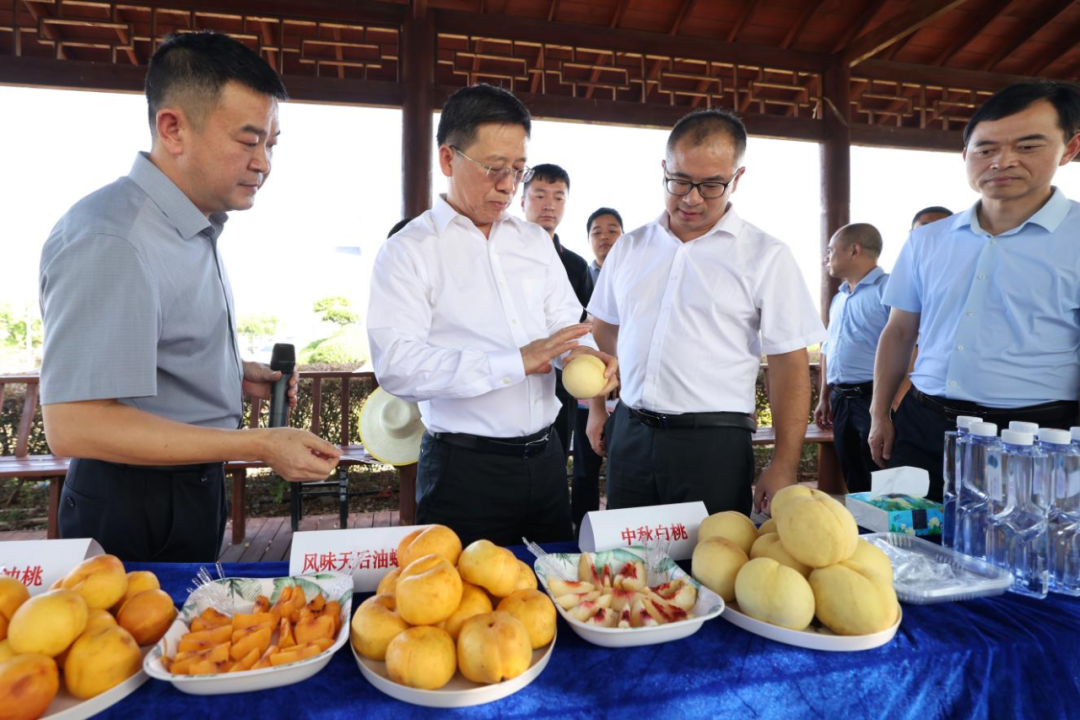 /uploads/news/2023/09/07/1694071100671081490.png /uploads/news/2023/09/07/1694071100671081490.png